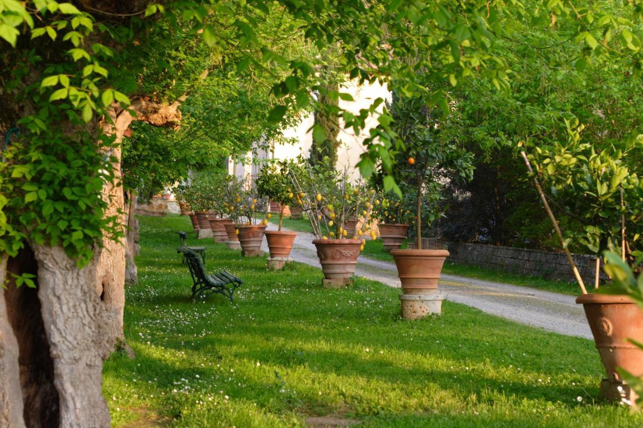 Ginestra Apartment Poggibonsi Exterior photo